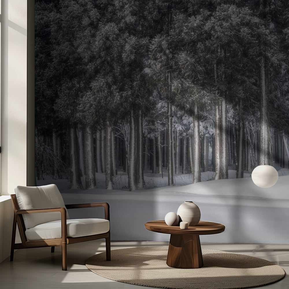 En plats i en silvervärld | Fototapet