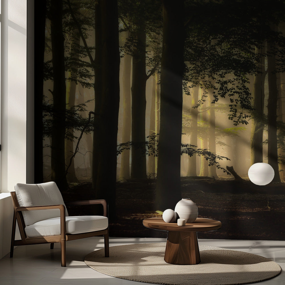 bakgrundsbelysning | Fototapet