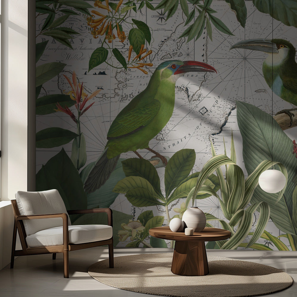 Papegojor Nostalgisk Resa 3 | Fototapet