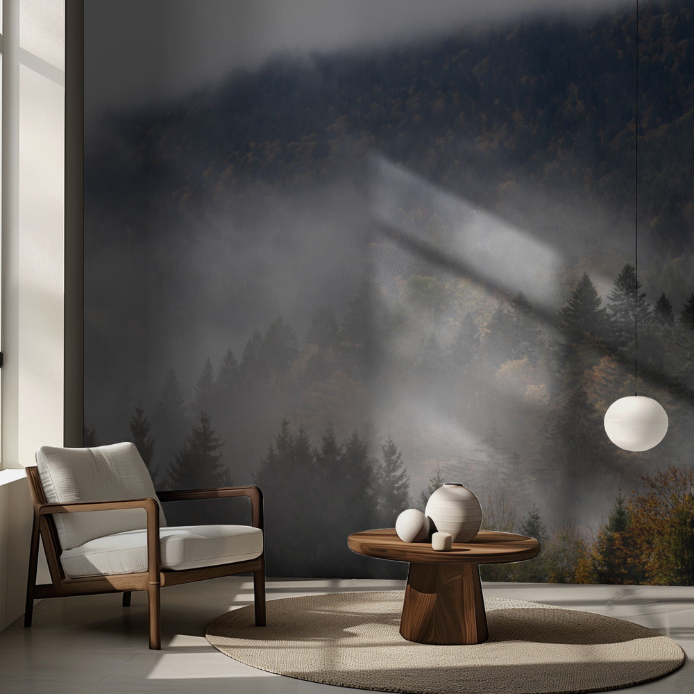 Dimmiga skogar 9 | Fototapet