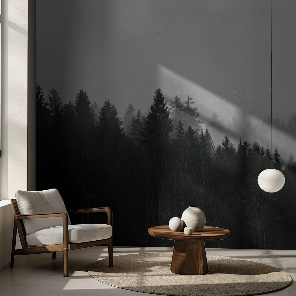 Dimmiga skogar 7 | Fototapet