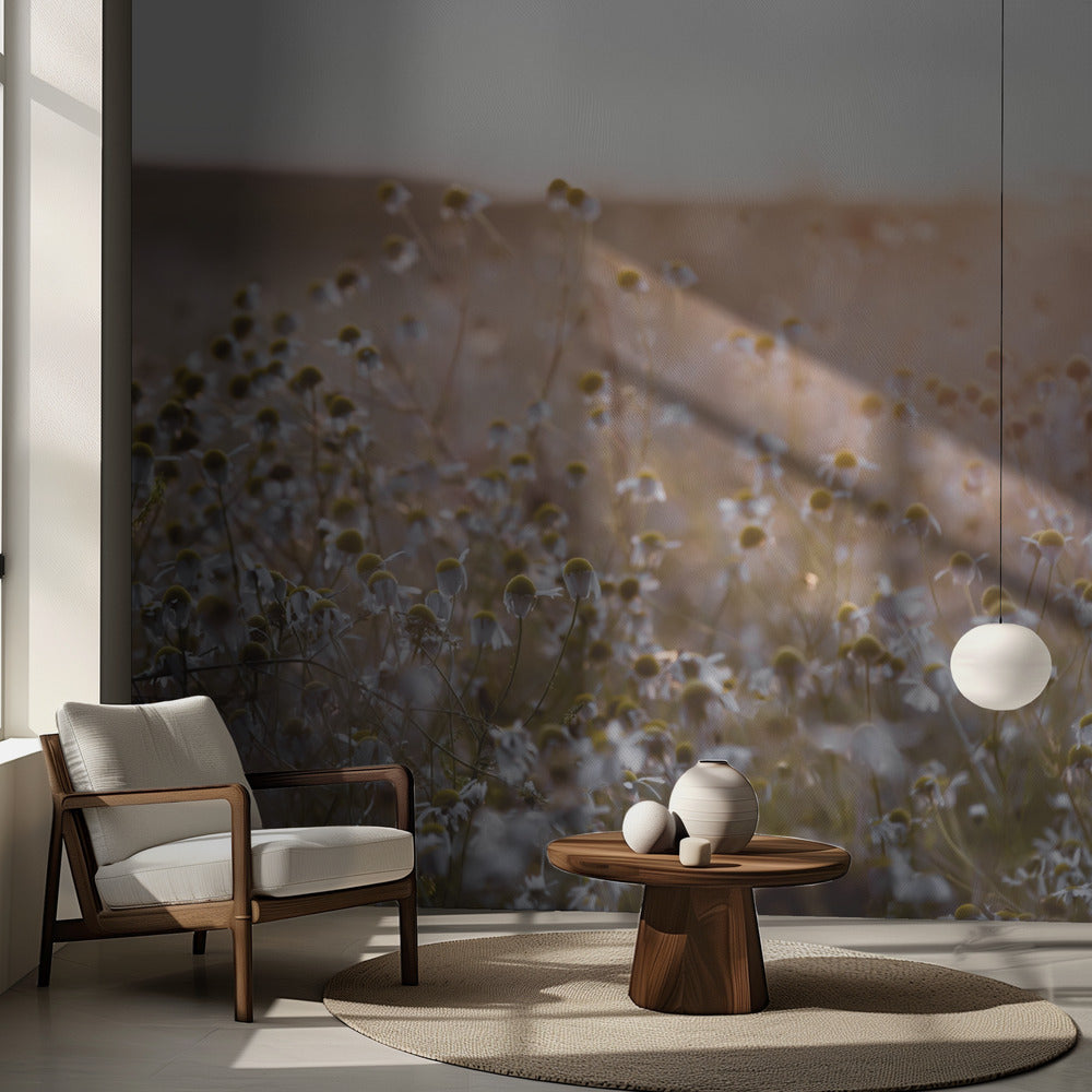 Sommarmorgon 7 | Fototapet