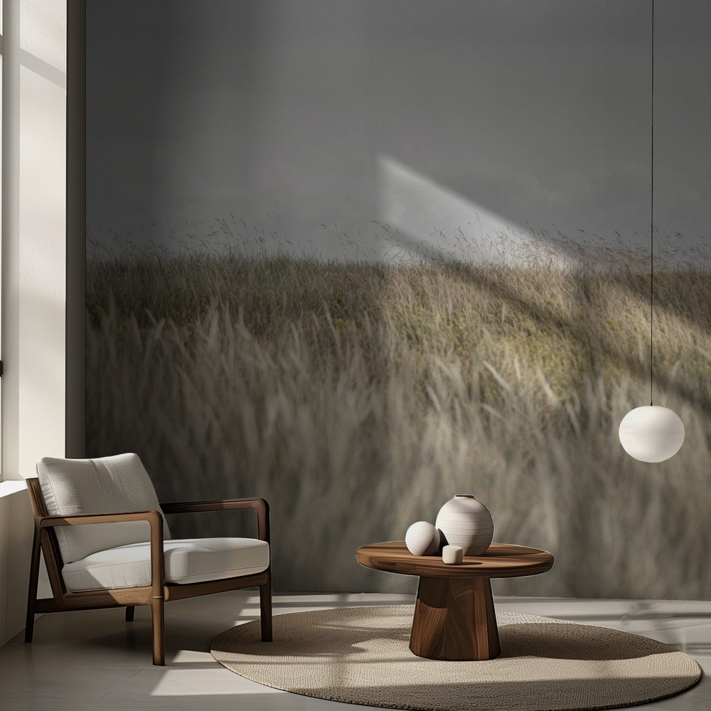 Sanddyner och moln 2 | Fototapet