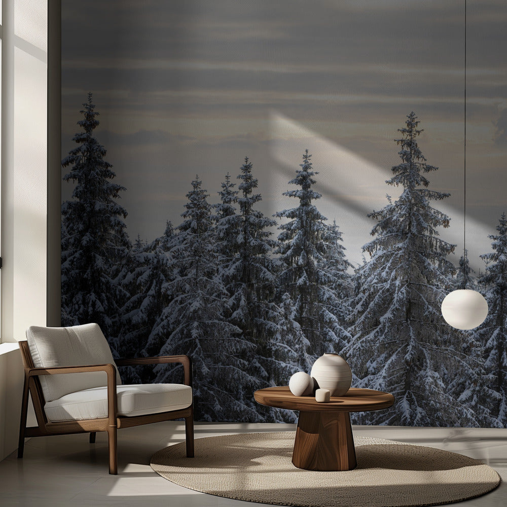 Snötäckta träd 8 | Tapet
