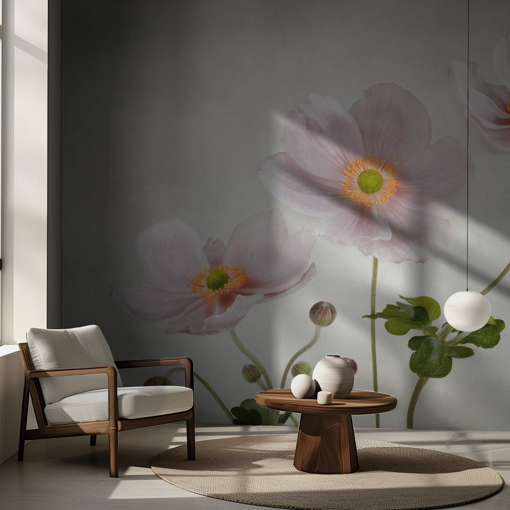 Anemoner | Fototapet