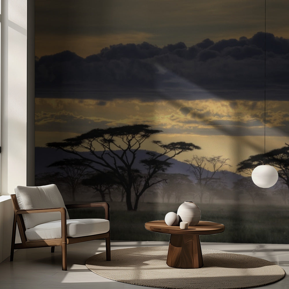 God kväll Tanzania | Fototapet