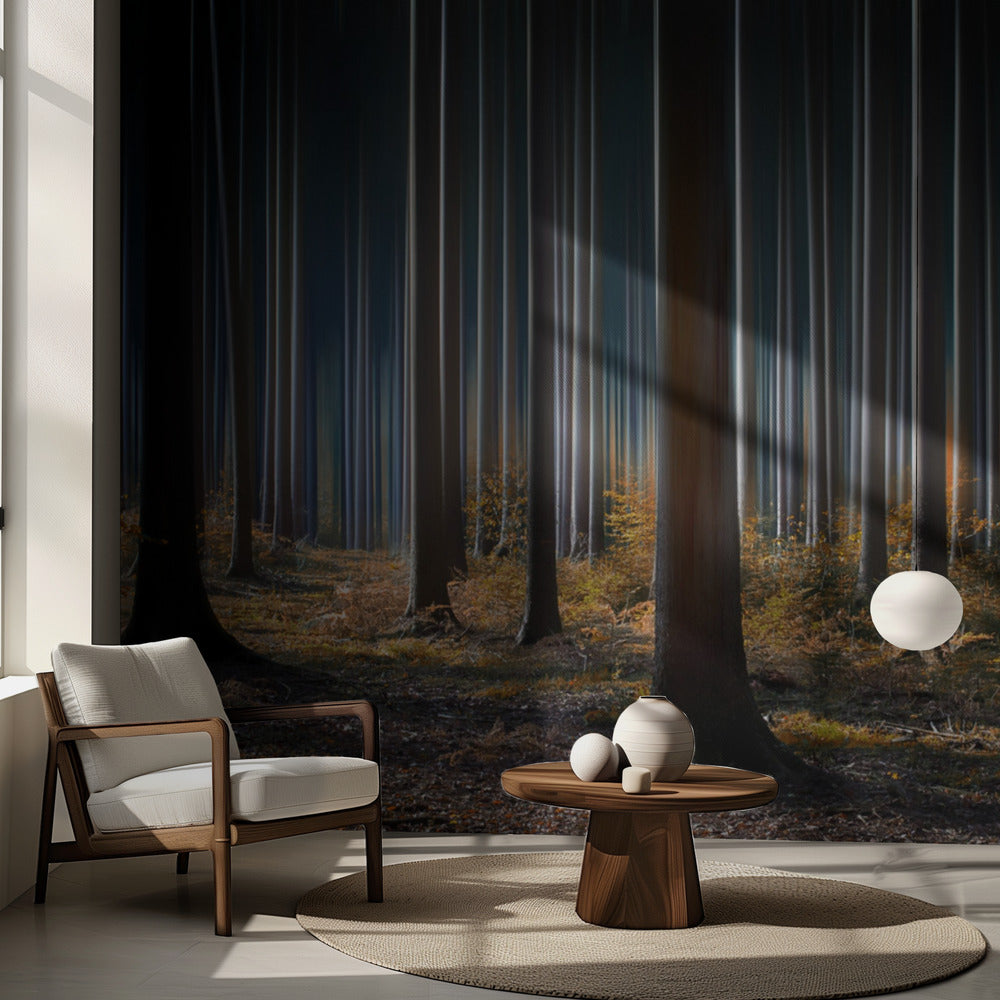 Mystisk trä | Fototapet