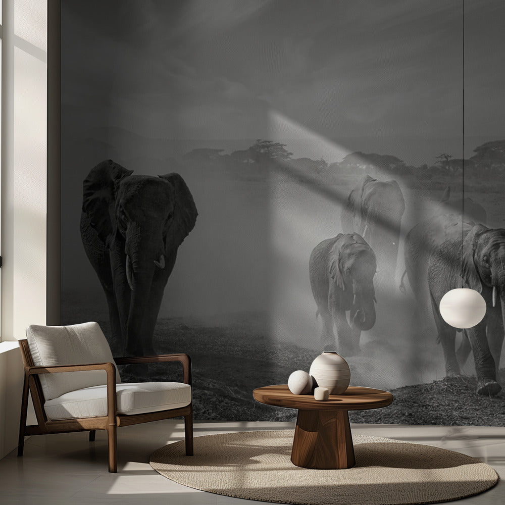 Känslosekvens | Fototapet