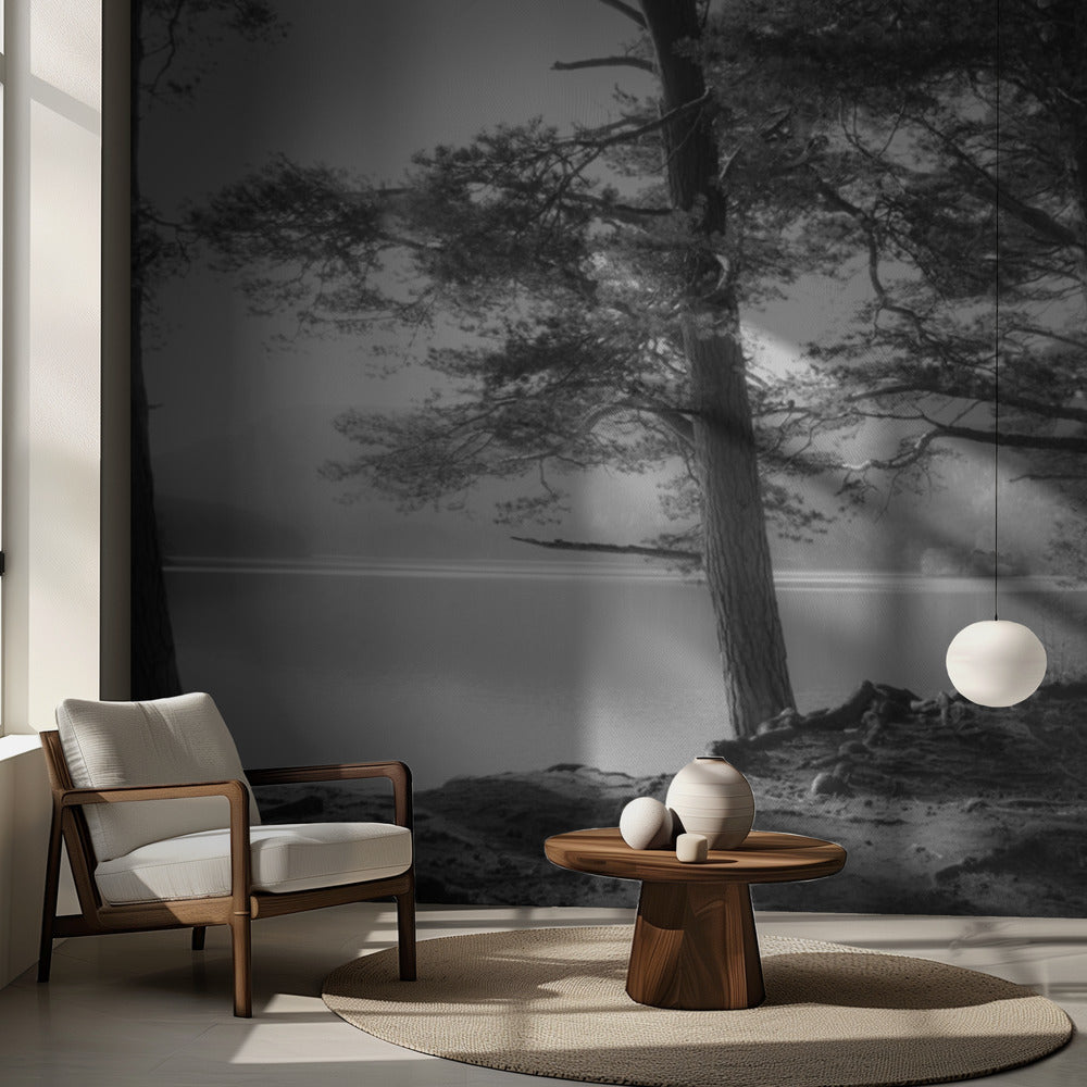 Loch an Eilean | Fototapet