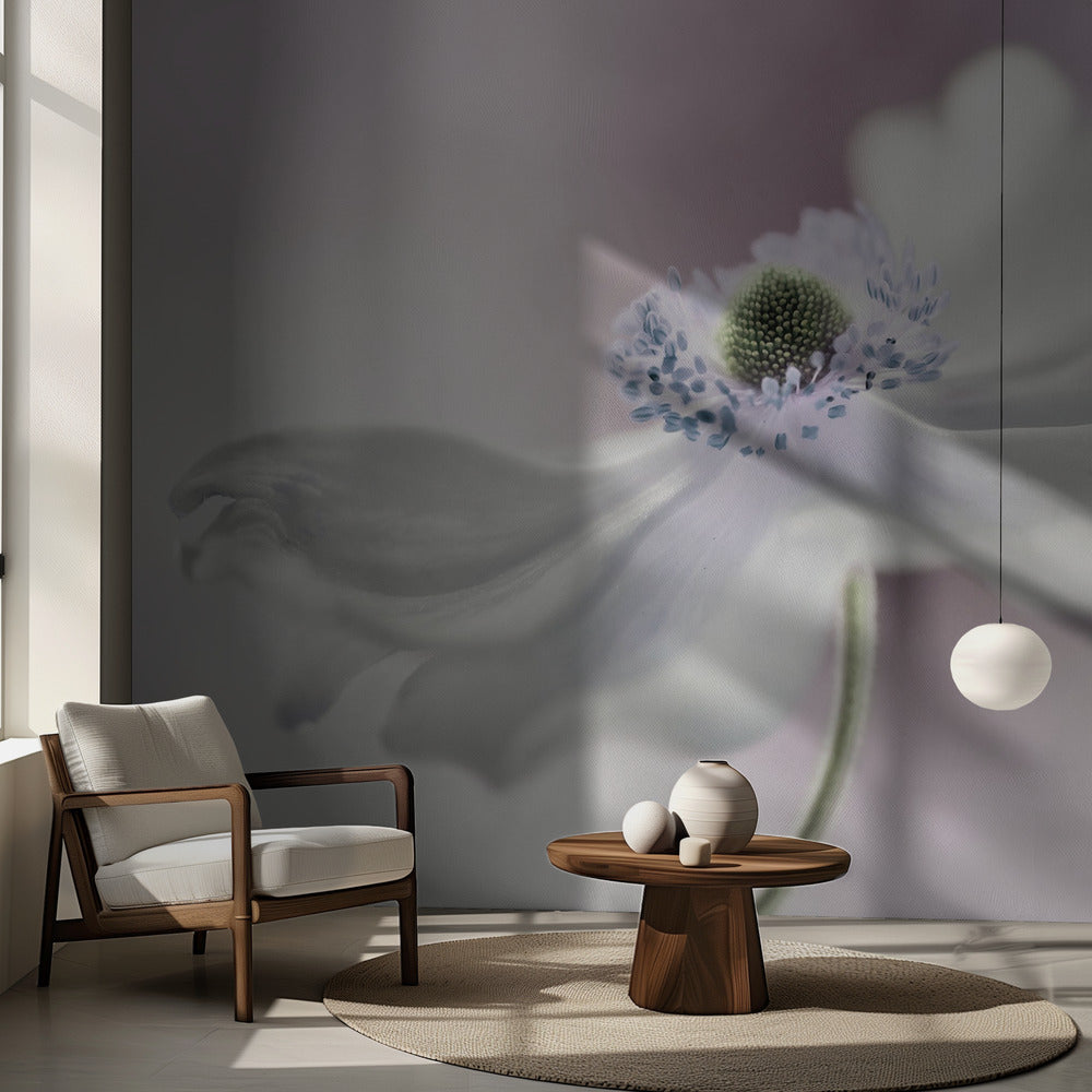 Anemonbris | Fototapet