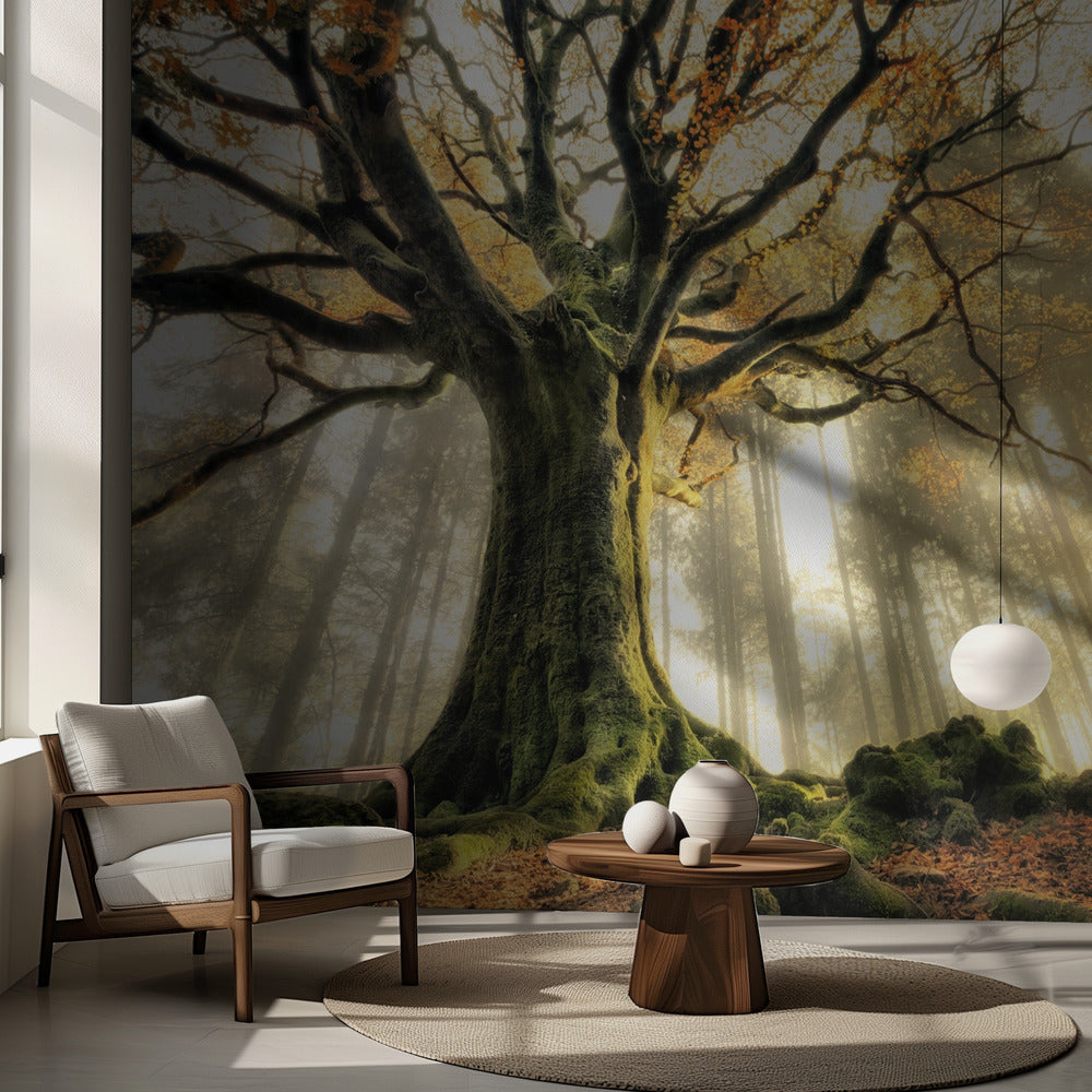 November | Fototapet