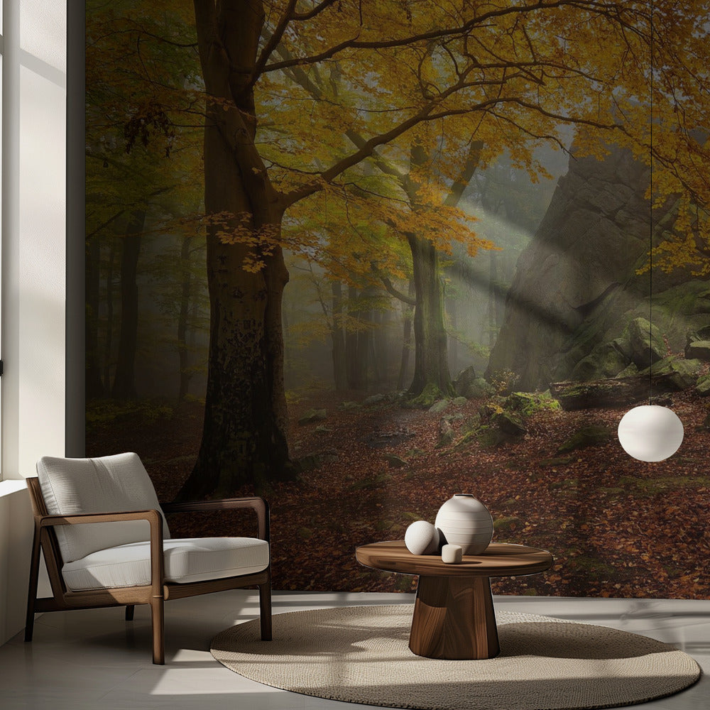 Höstskog | Fototapet