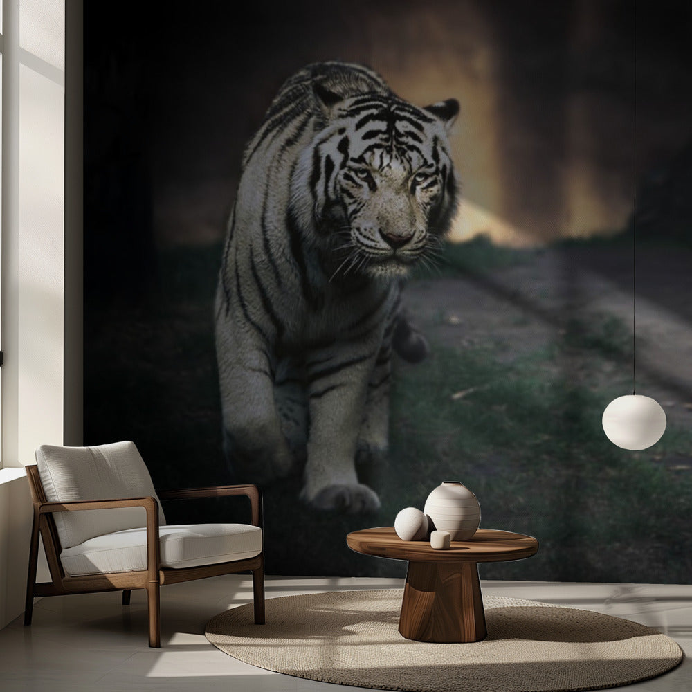 Vit vandrare | Fototapet