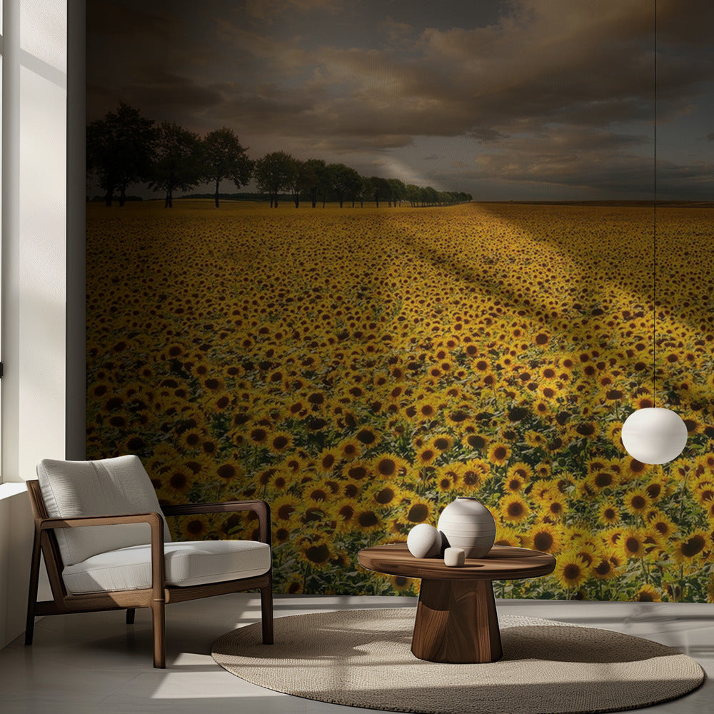 Solrosor | Fototapet