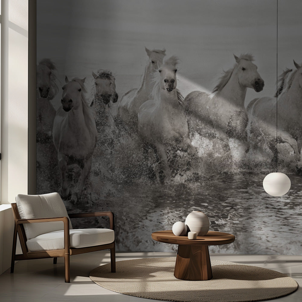 Illusion av makt (dock 13 hästkrafter) | Fototapet