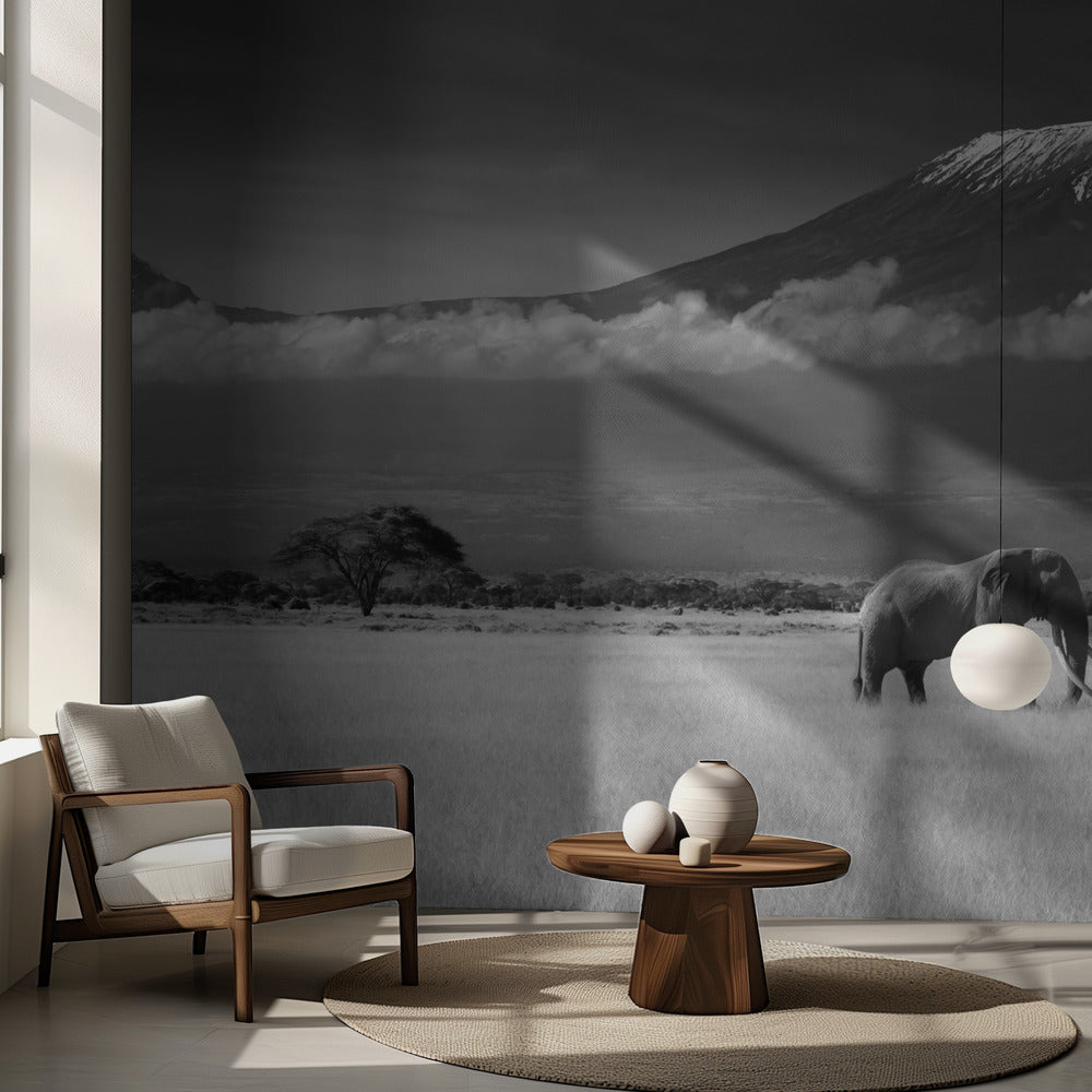 Förlorade färger II | Fototapet