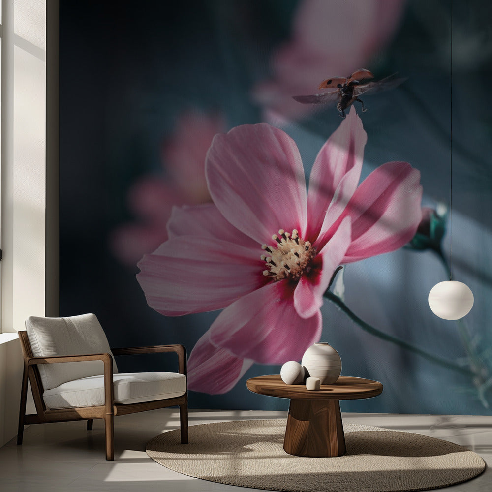 Jordljus | Fototapet