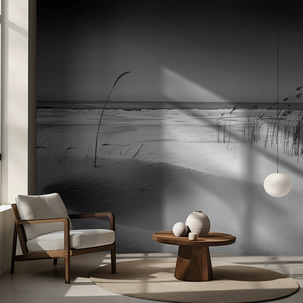 Orkester | Fototapet