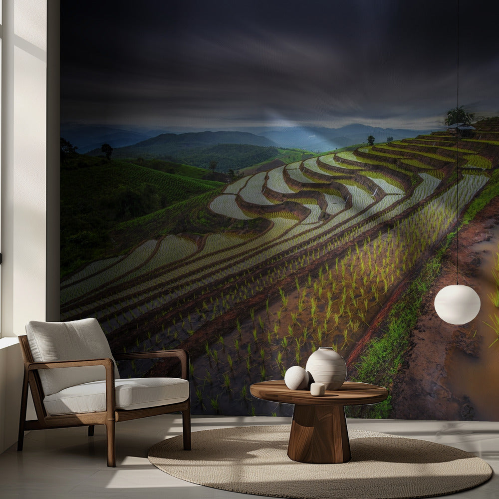 Osynligt risfält | Fototapet