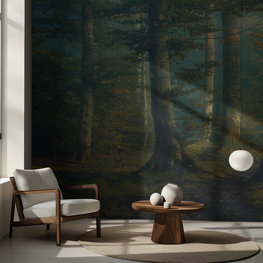 oktoberfärger | Fototapet