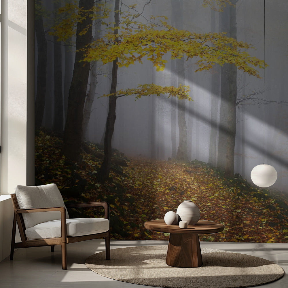 Namnlös | Fototapet