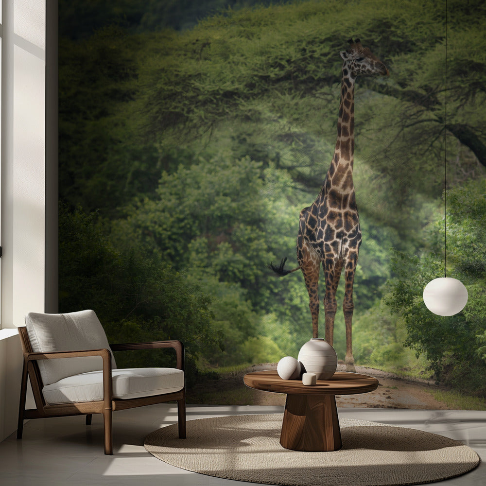 oväntat möte | Fototapet