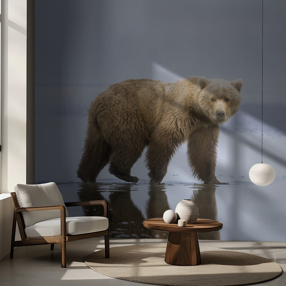 Björnpromenaden | Fototapet