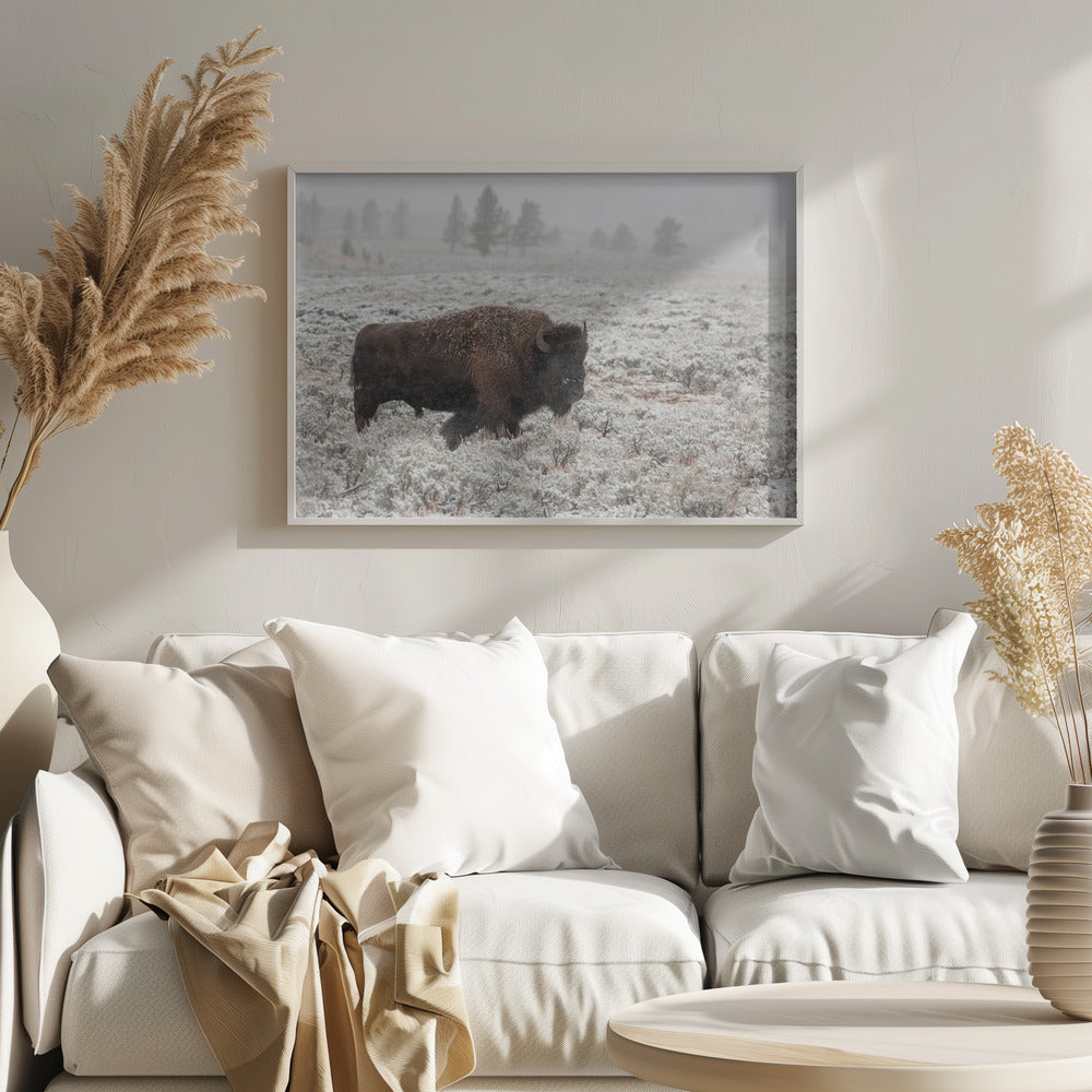 Senhöst Yellowstone | Poster