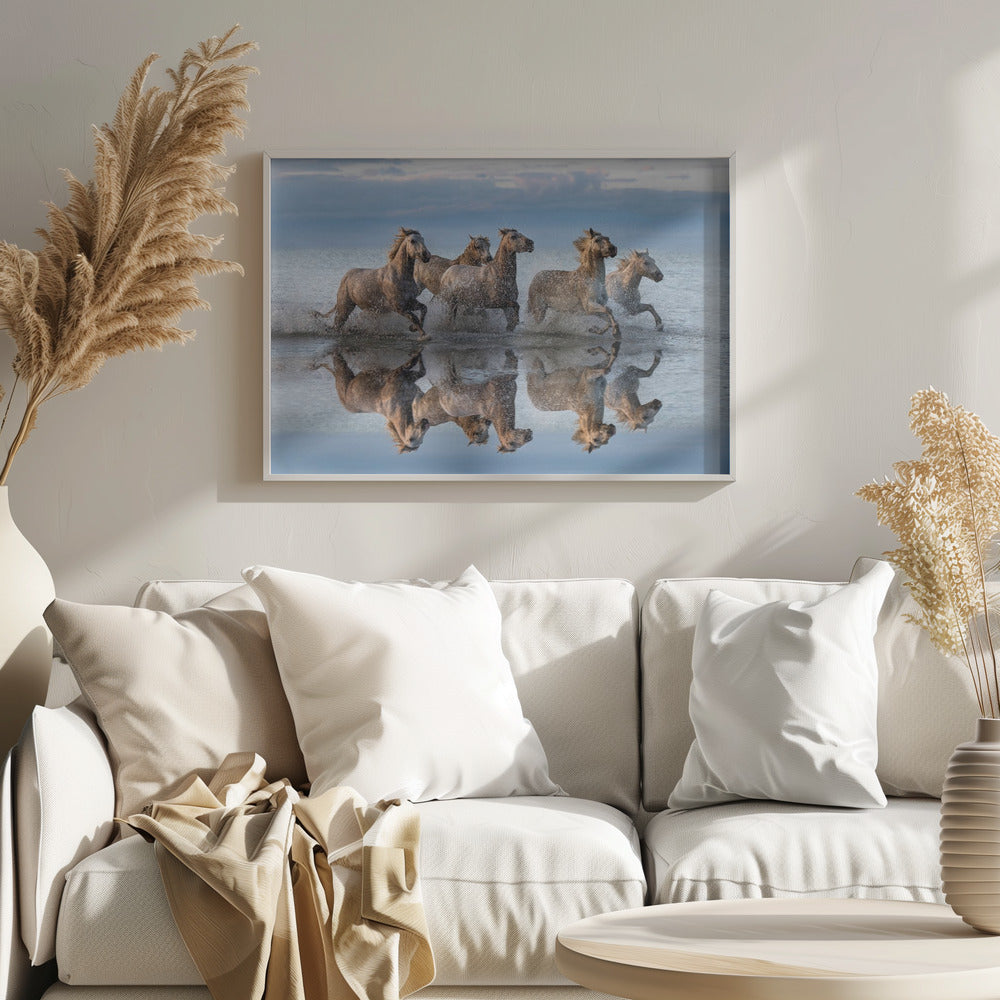 Hästar och reflektion | Poster