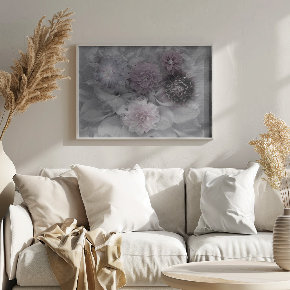 Dahlia dröm | Poster