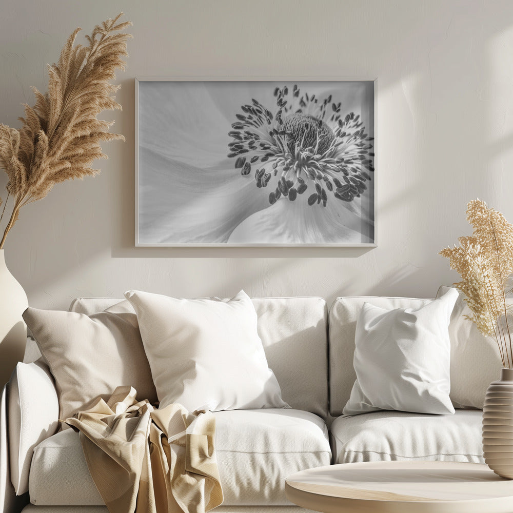 Anemone | Plakater - Kunsttrykk