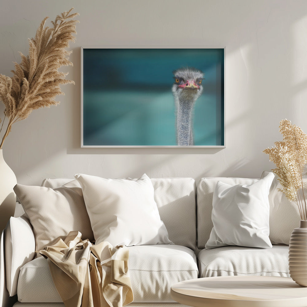 Ostrich Protecting two Poor Chicken from the Wind | Poster