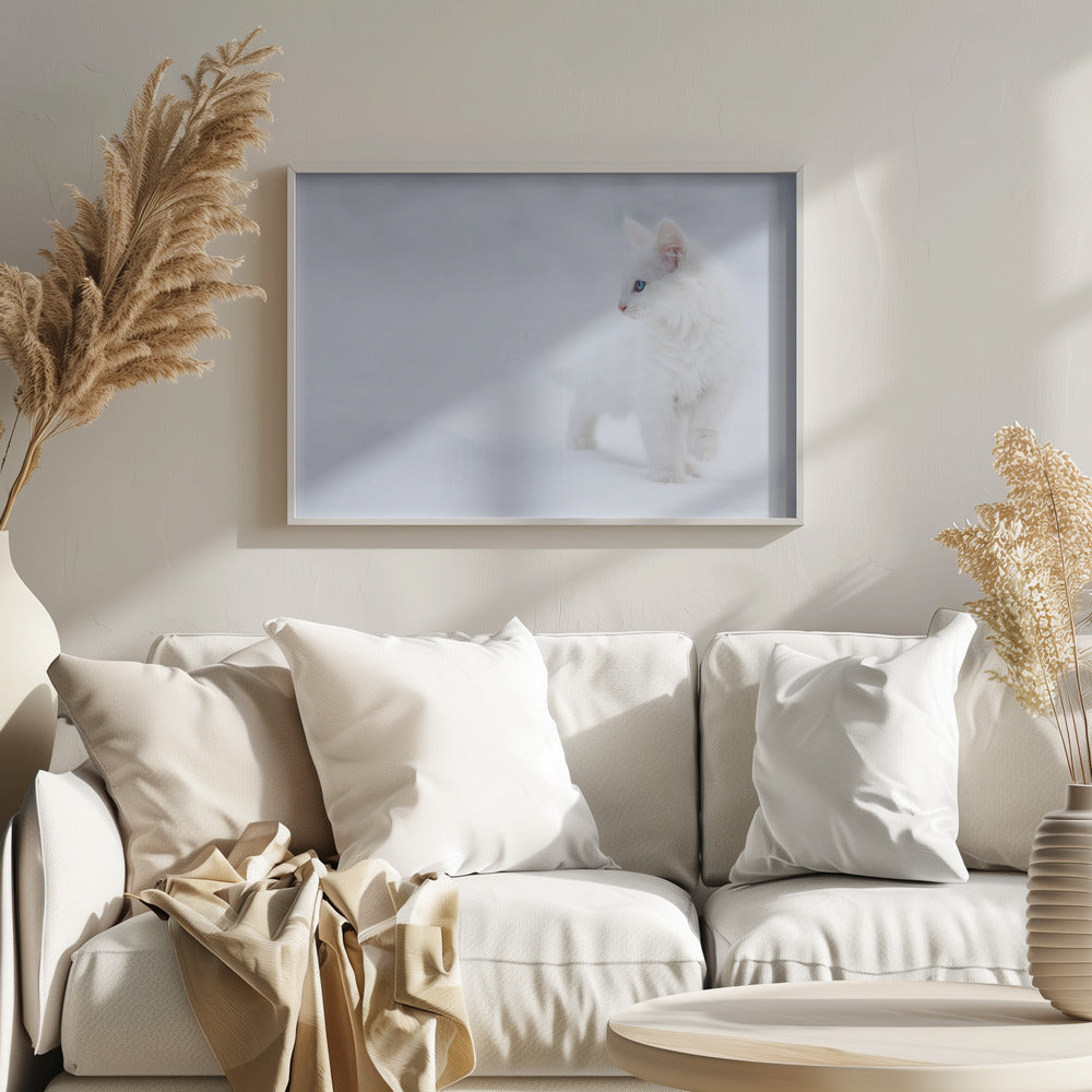 Vit som snö | Poster