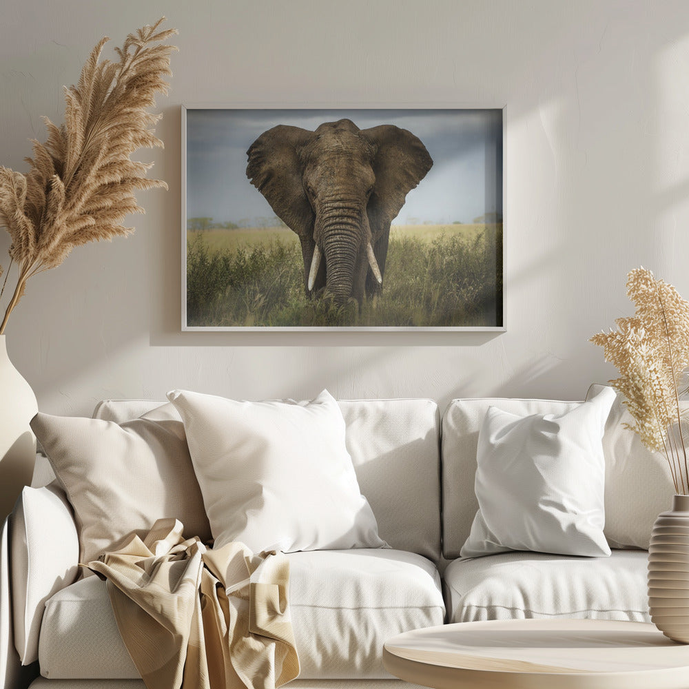Möten i Serengeti | Poster