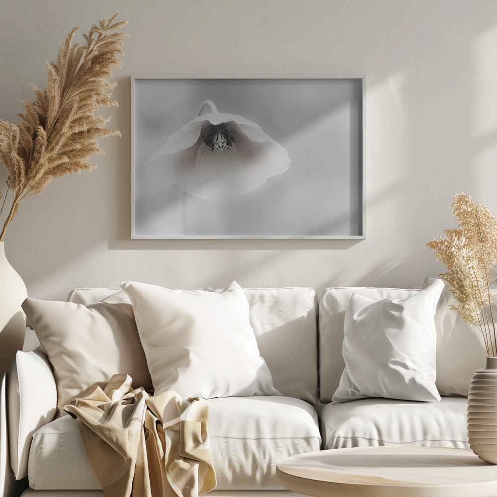 Ephemeral Beauty | Poster