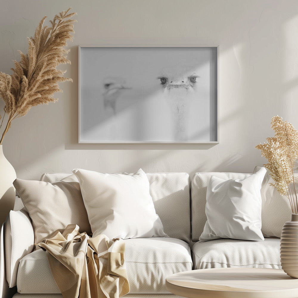 Rolig struts | Poster