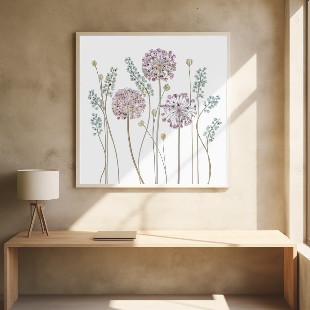 Allium | Poster