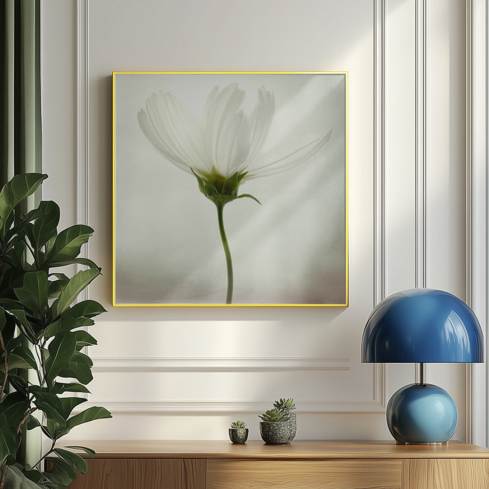 Vit kosmos | Poster