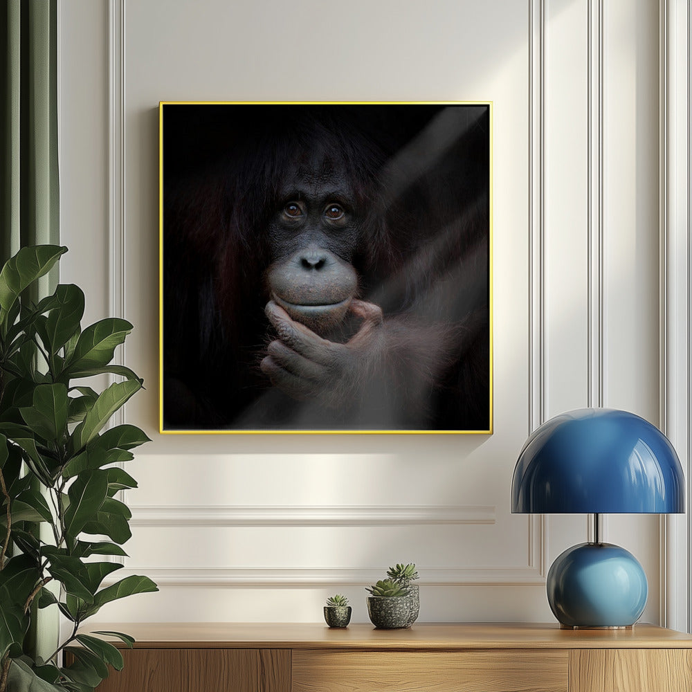 SPEGELBILDEN | Poster