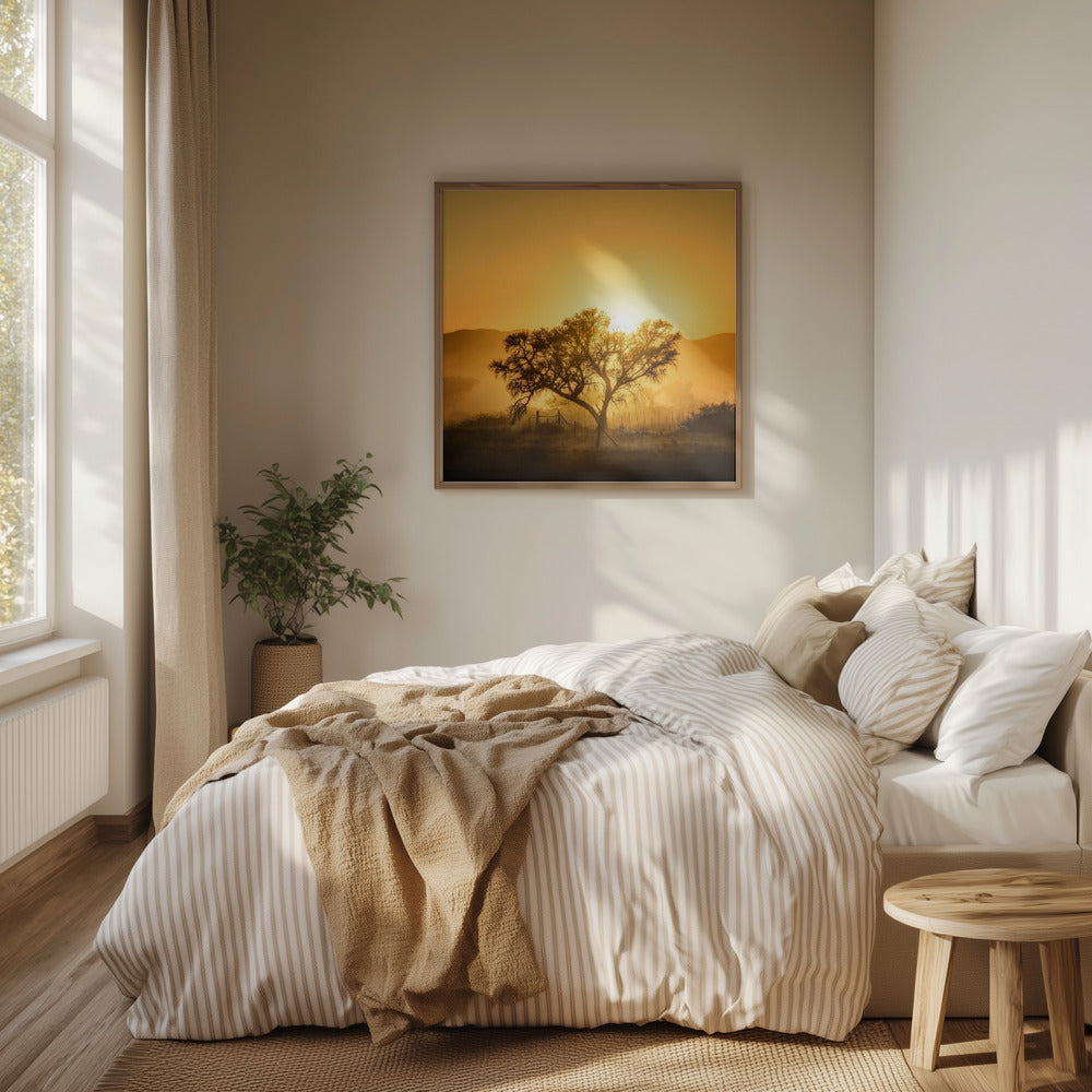 Gyllene soluppgång | Poster