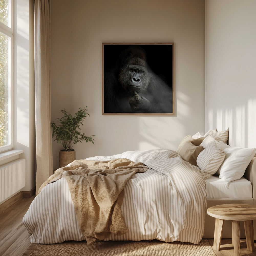 Jag är cogito, ergo sum | Poster