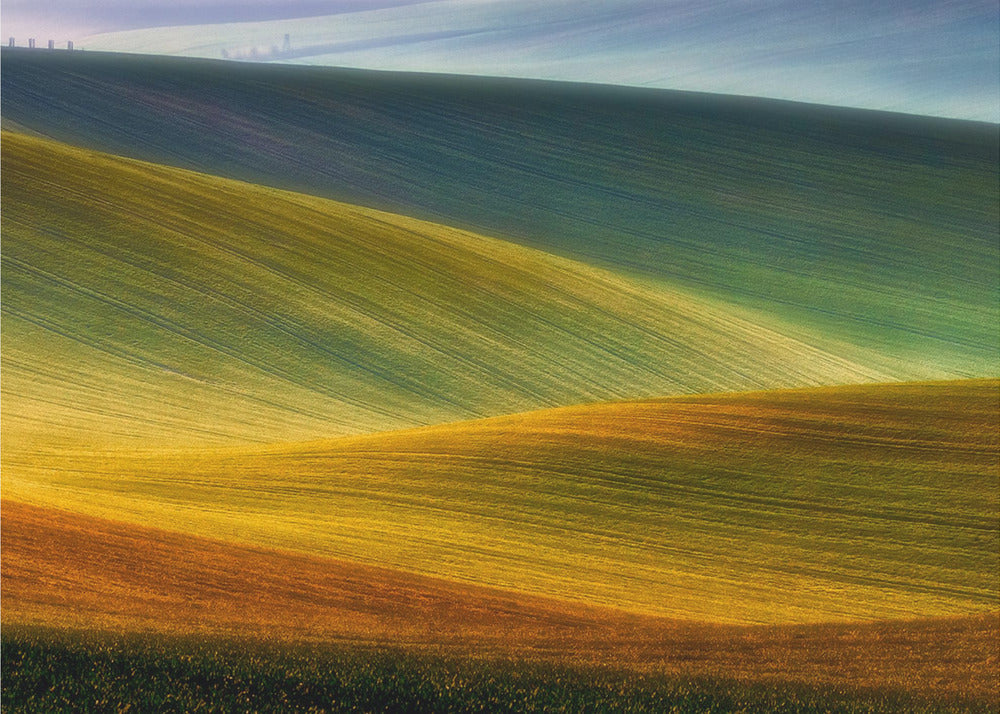 Champs de printemps | Papier Peint Photo