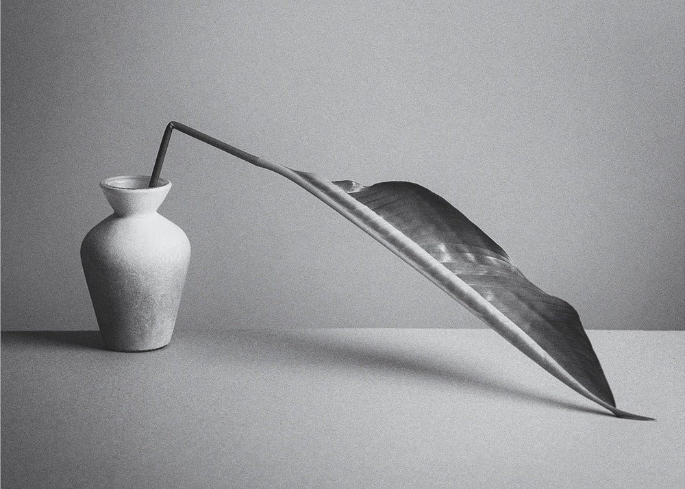 The Leaf | Canvas