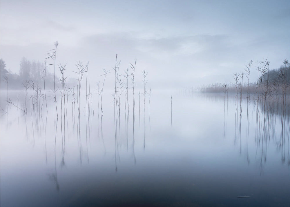Namnlös | Bakgrund
