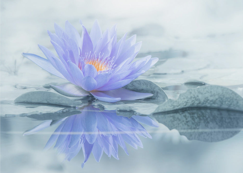 Reflektion | Tapet