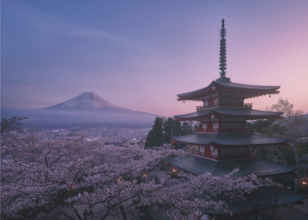Berget Fuji Sakura | Tapet