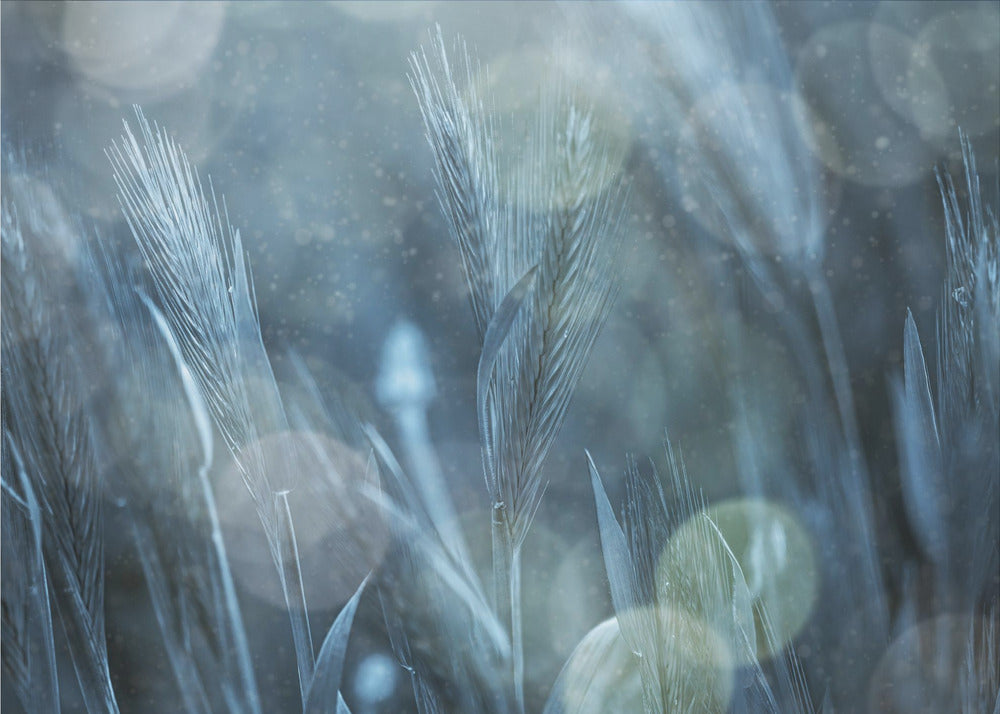 Fantastisk natur | Tapeter