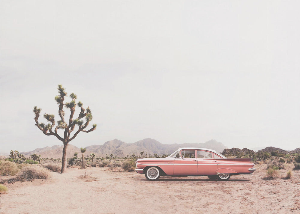 In the desert | Canvas