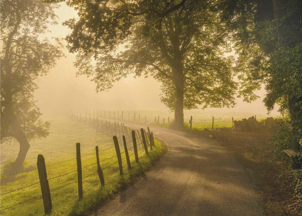 Morgonpromenad | Tapet
