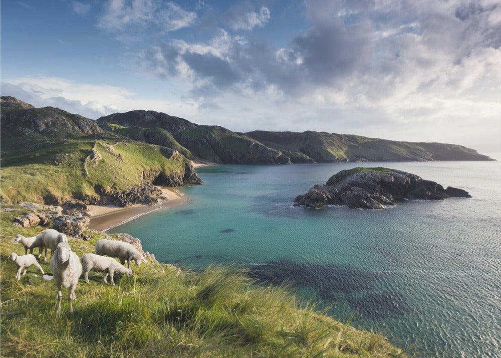 Côte irlandaise | Tableaux sur Toile